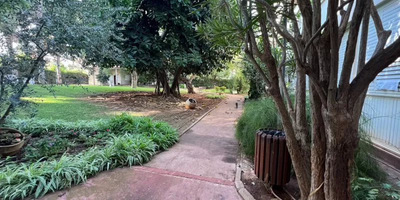 חצר ירוקה ומטופחת בבית אבות בית בלב כפר סבא